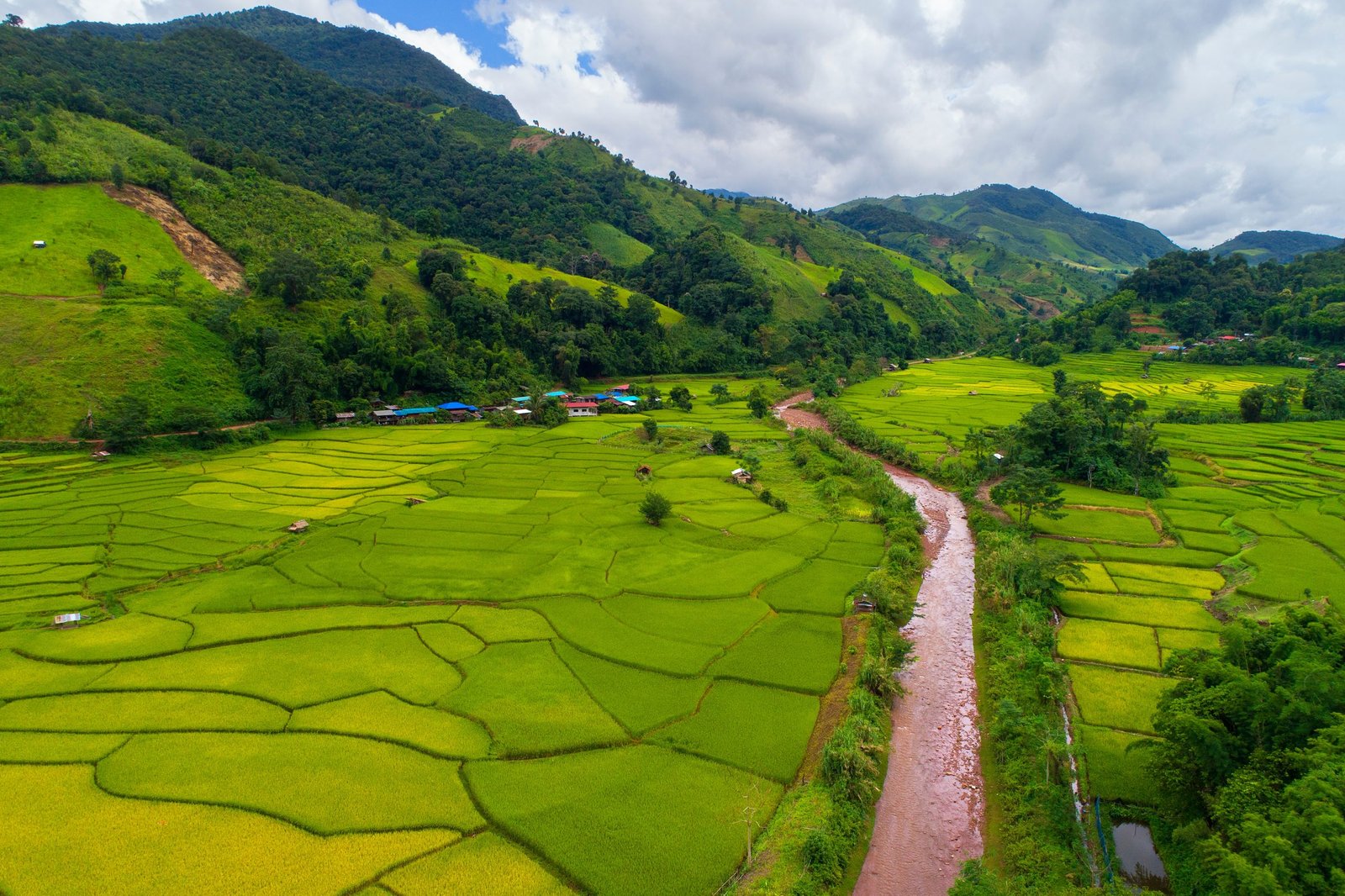 Thailand Mountain Trail Hikking Trails, Trekking Trips, & Running Tours Thailand Rice,field,in,bo,kluea,district,,nan,province,,thailand.