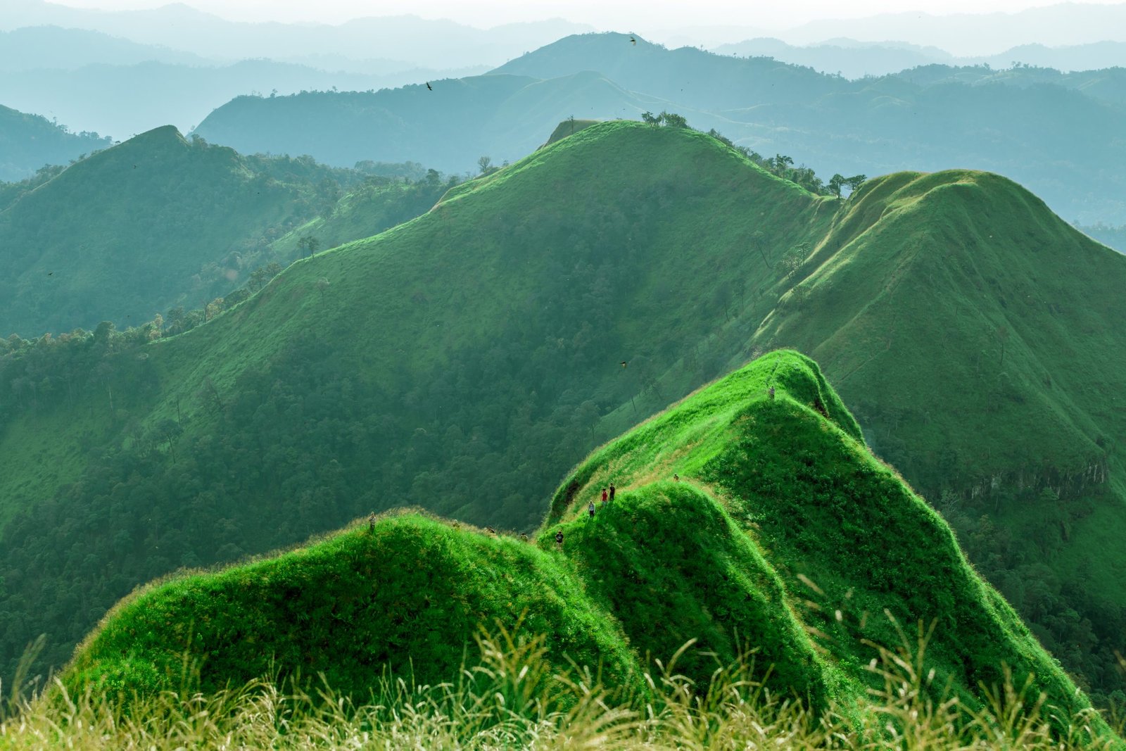 Thailand Mountain Trail Hikking Trails, Trekking Trips, & Running Tours Thailand Group,of,travelers,walk,through,peak,of,khao,chang,puek