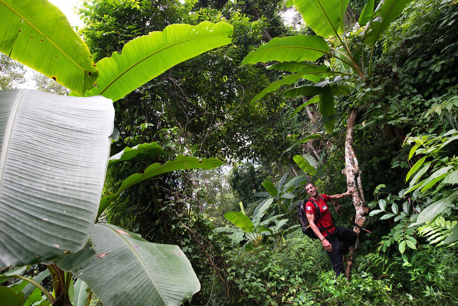 Thailand Mountain Trail Hikking Trails, Trekking Trips, & Running Tours Thailand Rando Mt 16